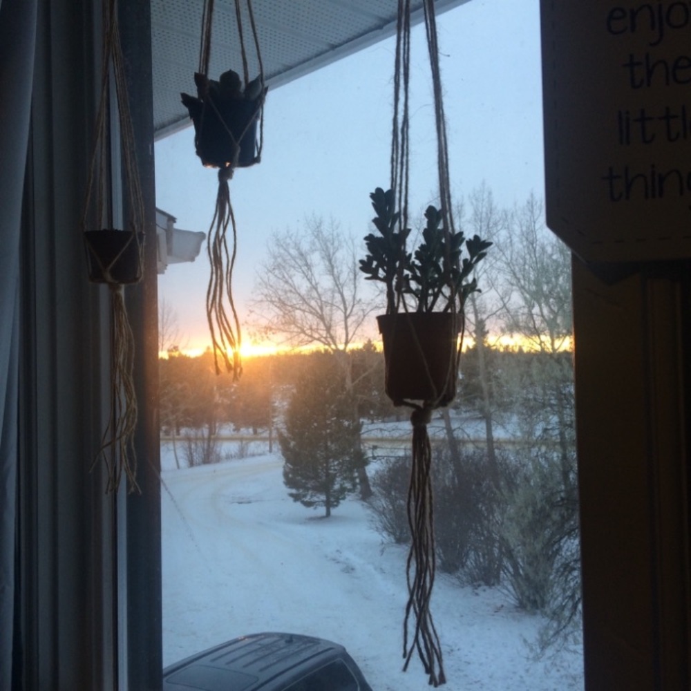 Hanging Macrame Plant Holders